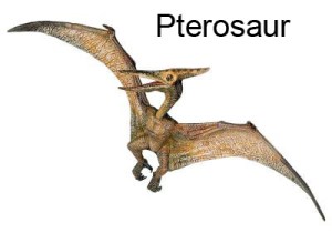 pterosaur